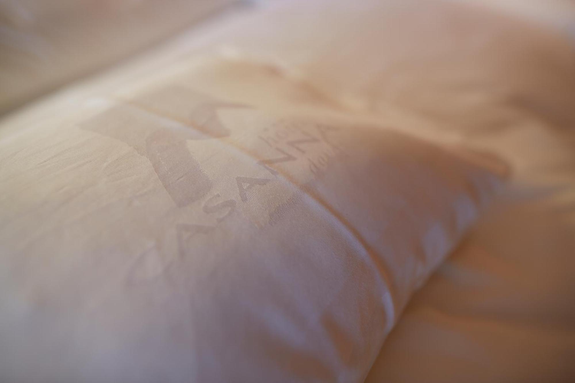 Casanna Hotel Davos City Center 部屋 写真